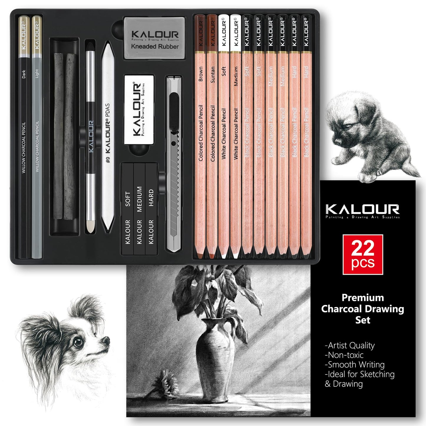 Charcoal Drawing Set